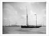 1911 Coronation Naval Review at Spithead by unknown