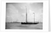 1911 Coronation Naval Review at Spithead by unknown