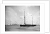 1911 Coronation Naval Review at Spithead by unknown