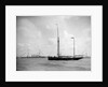 1911 Coronation Naval Review at Spithead by unknown