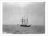 Steam yacht 'Sunbeam' (Br, 1874, Lord Brassey) at anchor off Spithead by unknown