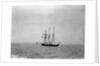 Steam yacht 'Sunbeam' (Br, 1874, Lord Brassey) at anchor off Spithead by unknown