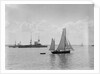 King's review of the fleet at Spithead, 1909 by unknown