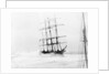 4-masted barque 'Adolphe' (Fr, 1902) ashore on Oyster Bank, Newcastle, Australia by unknown