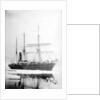 'Aurora' (Br, 1876) Sir Ernest Shackleton's exploration vessel amongst the ice by unknown