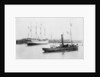 'Alexandre' (Fr, 1902) taking the water at her launch by Unknown
