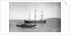 The 'Anna Maria D'Abundo' (It, 1903) at anchor by unknown