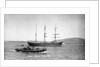 The 'Anna Maria D'Abundo' (It, 1903) at anchor by unknown