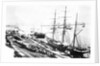 'Chittagong' (Br, 1864) 3 masted barque by unknown