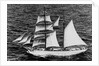 'Massimo Padre' (Br, 1905), under sail off Malta by unknown