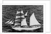 'Massimo Padre' (Br, 1905), under sail off Malta by unknown
