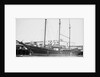 'Metha Nelson' (Am, 1896) at quayside by unknown