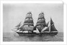 'Northernhay' (Br, 1885) by unknown