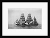 'Northernhay' (Br, 1885) by unknown