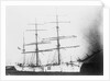 'Sarvsfos' (Br, 1892) at Savannah by Unknown