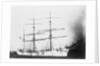 'Sarvsfos' (Br, 1892) at Savannah by Unknown