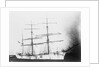 'Sarvsfos' (Br, 1892) at Savannah by Unknown