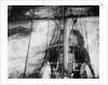'Port Jackson' 4 masted barque, looking down on poop from aloft in the mainmast by unknown