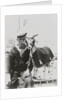 Goat mascot on board the HMS 'Irresistible' (1898) in Malta by unknown