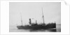 The Argo Line steamship 'Adler' (1900) by unknown