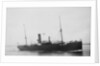 The Argo Line steamship 'Adler' (1900) by unknown