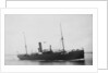 The Argo Line steamship 'Adler' (1900) by unknown
