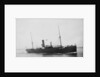 The Argo Line steamship 'Adler' (1900) by unknown