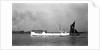 'Angularity' (Br) 50.3 1934 by Unknown