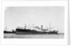The 'Anna' (Gr, 1919) moored at Port Said by unknown