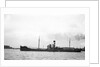 The 'Corduff' (Br, 1923) under way by Unknown
