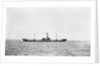 'Fernhill' (Br, 1908) by unknown