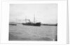'Graceful' (Br, 1886) under way by unknown