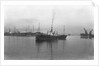 'Pugliola' (It, 1917) under way at Genoa by unknown