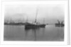 'Pugliola' (It, 1917) under way at Genoa by unknown