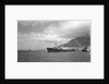 Liberty' type, general cargo ship 'Rialto' (Italy, 1943), ex 'Henry C. Paine'. Compagnia Armatoriale Italiana Molin & Meotto by unknown