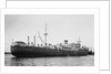 Silverwillow' (Br, 1930) by Unknown