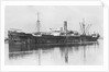 'Trevaylor' (Br, 1912) by unknown