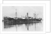 'Trevaylor' (Br, 1912) by unknown