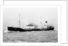'Broomdale' (Br, 1937) under way by unknown