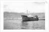 'Henry Dundas' (Br, 1937) in Cape Town Harbour by Anonymous