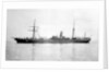 'Hibernian' (1861) by Unknown