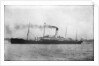 Photograph of the passenger liner 'Herefordshire' (1905) under way by unknown