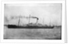 Photograph of the passenger liner 'Herefordshire' (1905) under way by unknown