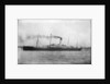 Photograph of the passenger liner 'Herefordshire' (1905) under way by unknown