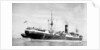 'Clan Mactavish' (Br, 1921), under way at Beira by unknown