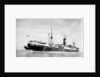'Clan Mactavish' (Br, 1921), under way at Beira by unknown