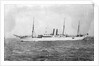 'Port Henderson' (Br, 1884) passenger/cargo liner, under way by Unknown