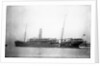 'Inkosi' (Br, 1902) by unknown