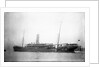 'Inkosi' (Br, 1902) by unknown
