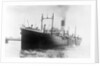 The 'Protesilaus' (Br, 1910) under way by unknown